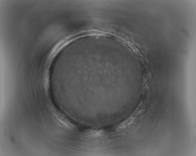 X0000111000247200906191556