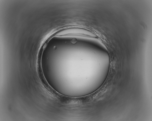 X0000111000248200906191556