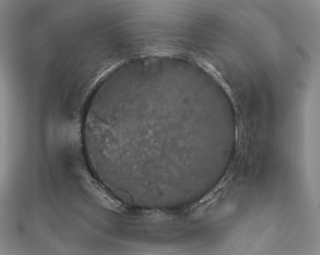 X0000111000249200906191556