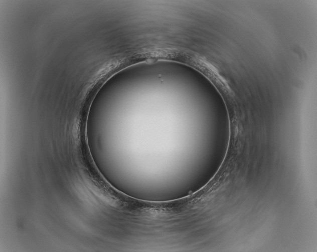 X0000111000250200906191556