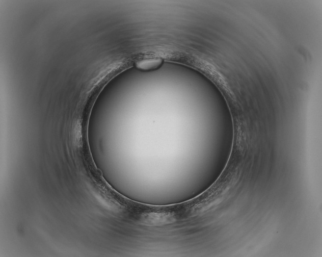 X0000111000251200906191556