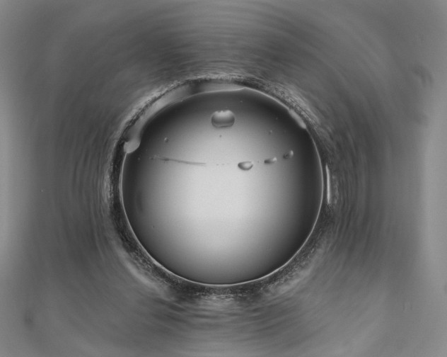 X0000111000252200906191556