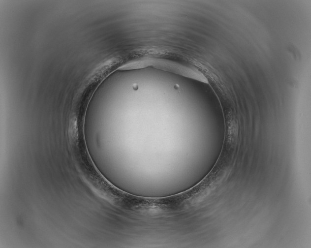 X0000111000254200906191556