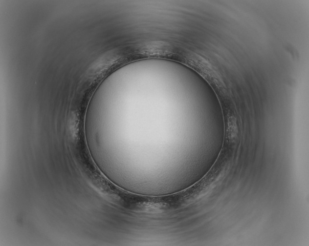 X0000111000255200906191556