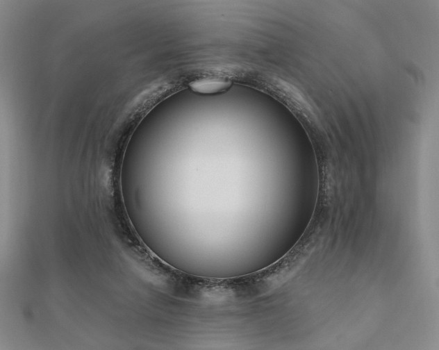 X0000111000258200906191556