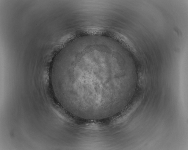 X0000111000259200906191556