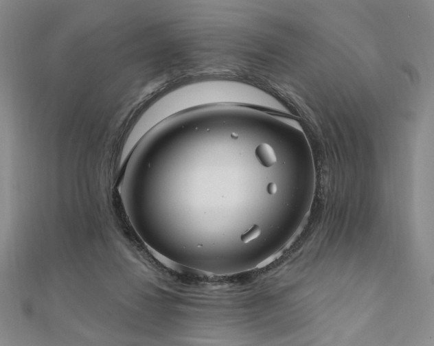 X0000111000260200906191556