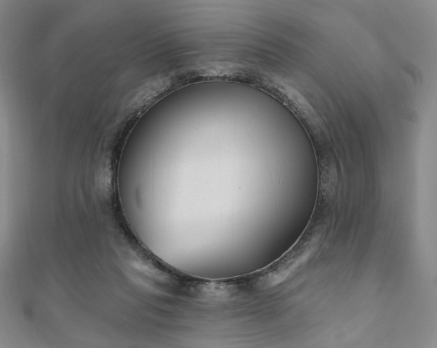 X0000111000261200906191556