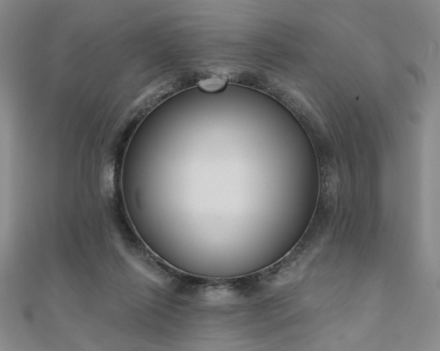 X0000111000262200906191556