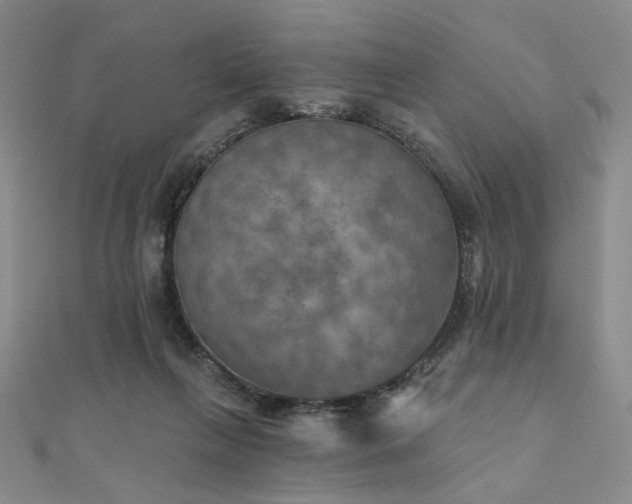 X0000111000263200906191557