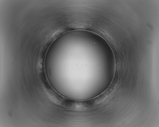 X0000111000264200906191557