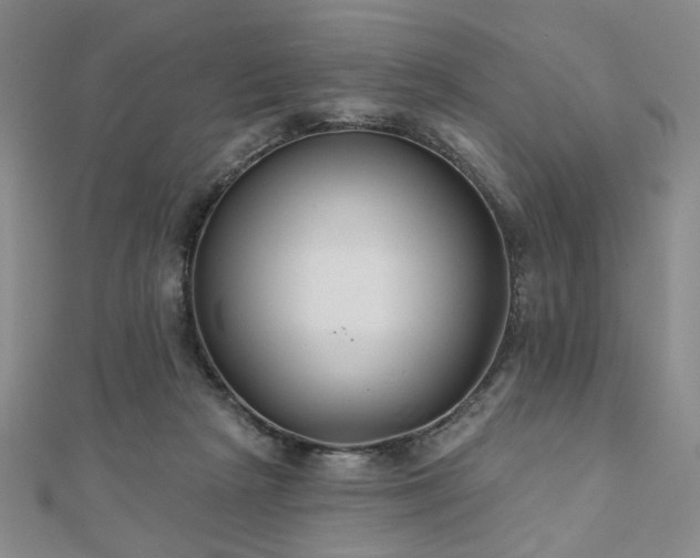 X0000111000265200906191557