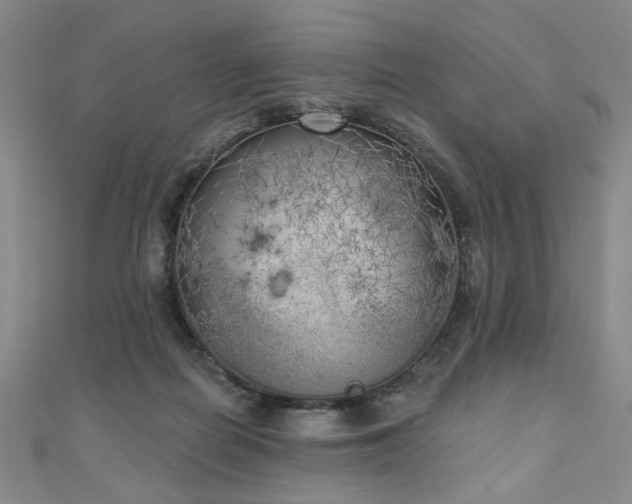 X0000111000266200906191557