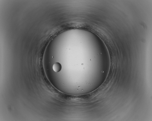 X0000111000268200906191557