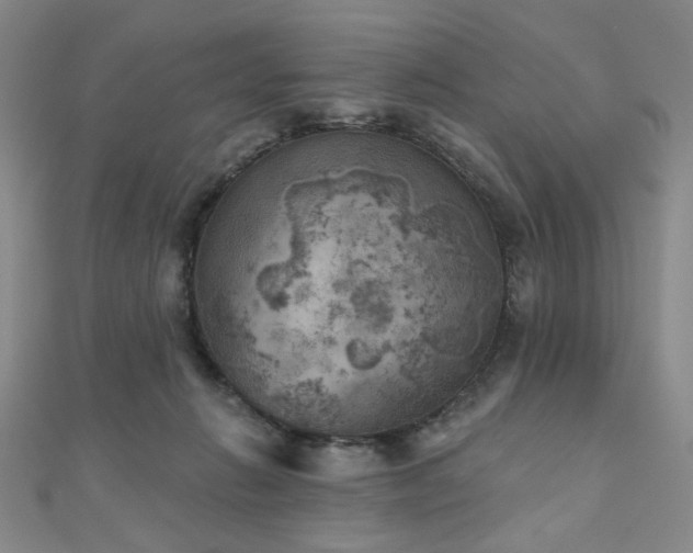 X0000111000270200906191557