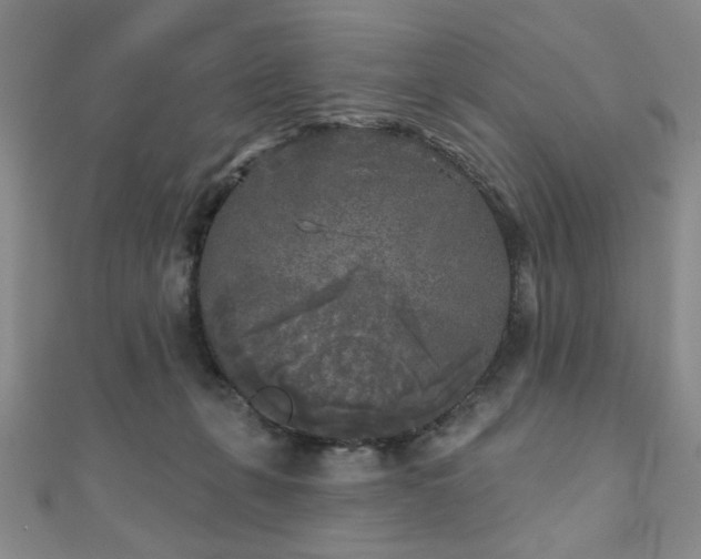 X0000111000271200906191557