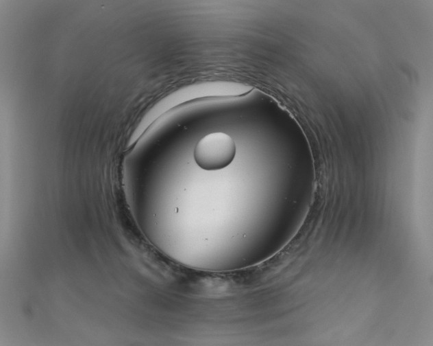 X0000111000272200906191557