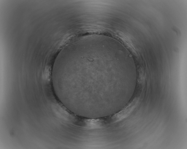 X0000111000273200906191557