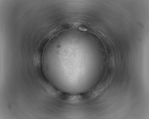 X0000111000274200906191557