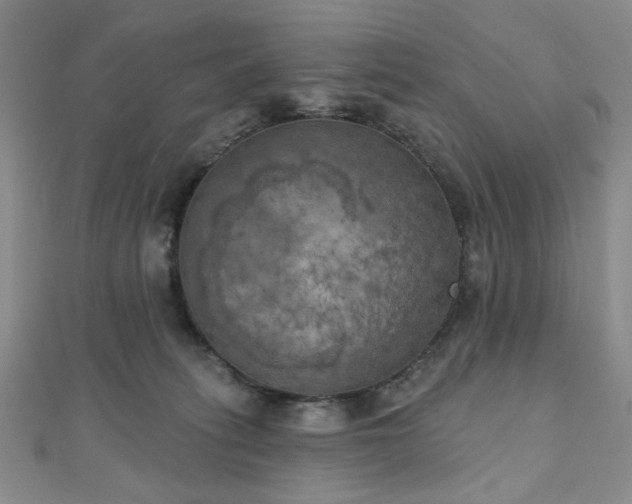 X0000111000275200906191557