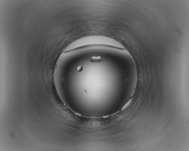 X0000111000276200906191557