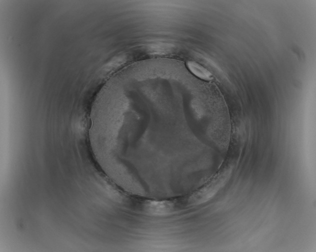 X0000111000277200906191557