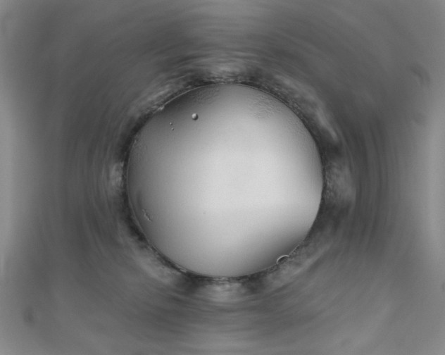 X0000111000278200906191557