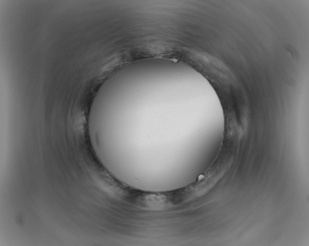 X0000111000279200906191557