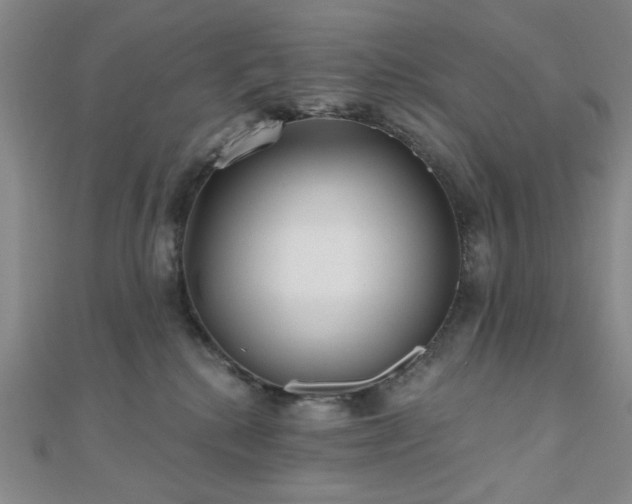 X0000111000280200906191557