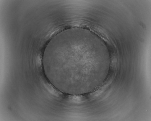 X0000111000282200906191557