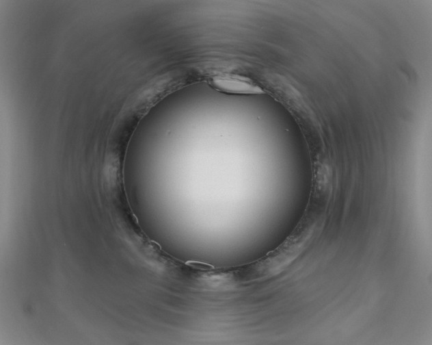 X0000111000283200906191557