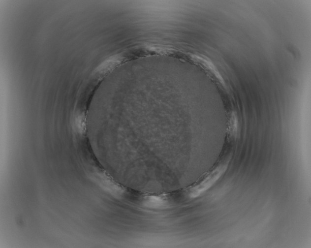 X0000111000285200906191557