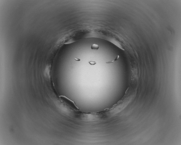 X0000111000286200906191557