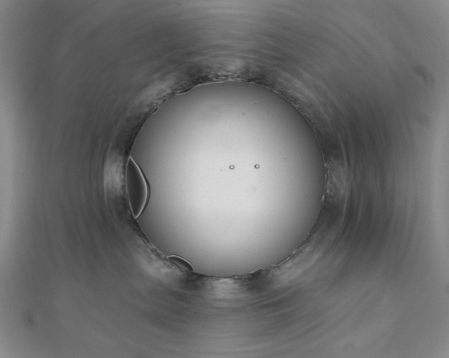 X0000111000287200906191557