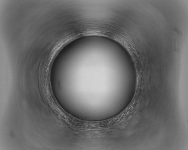 X0000111000289200906191556