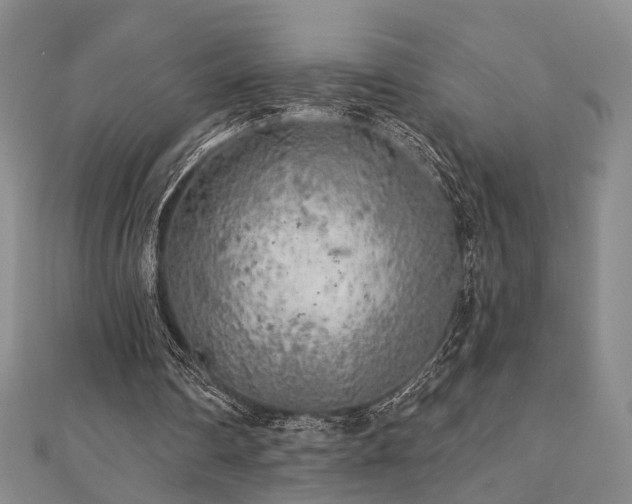 X0000111000290200906191556