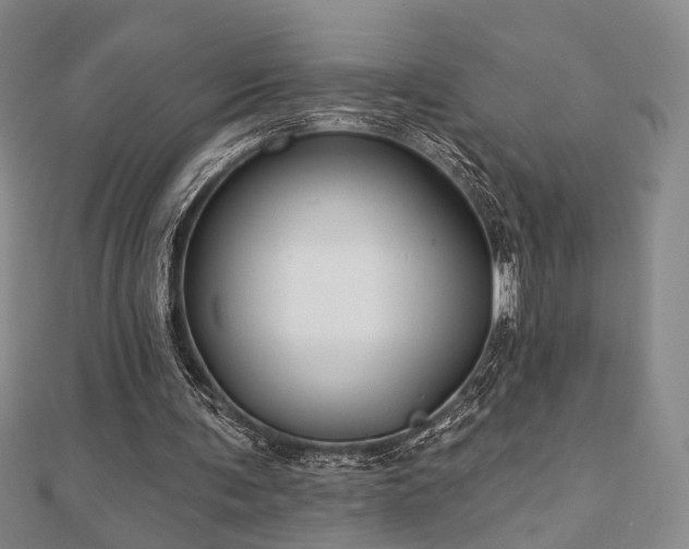 X0000111000291200906191556