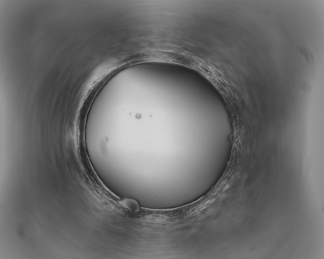 X0000111000294200906191556