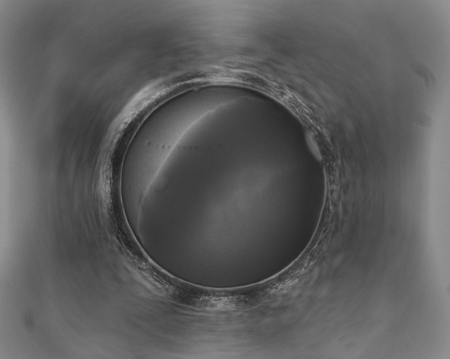 X0000111000295200906191556