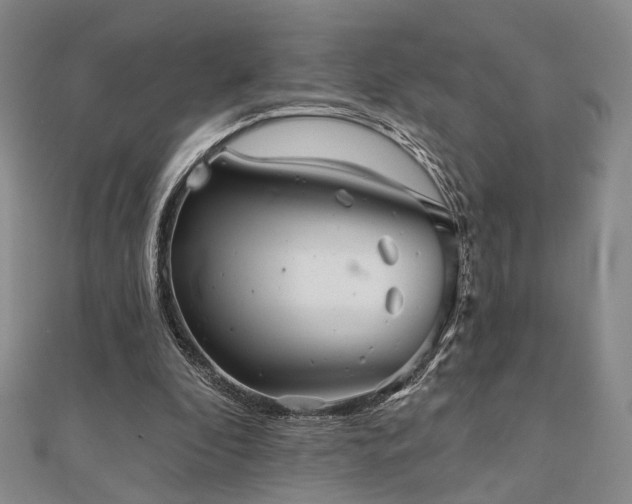 X0000111000296200906191556