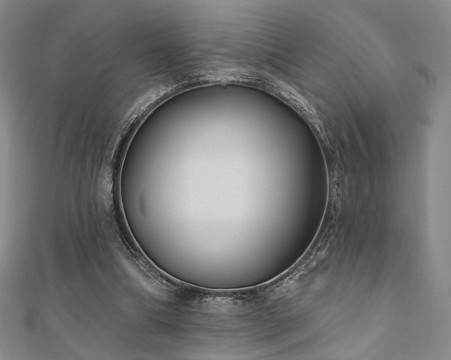 X0000111000298200906191556