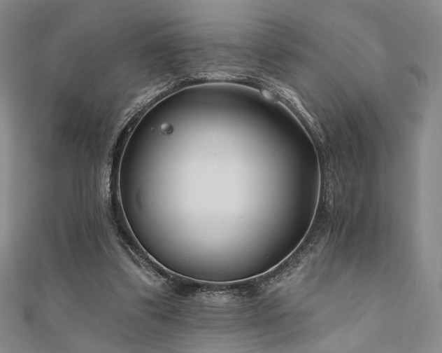 X0000111000299200906191556