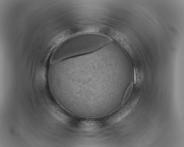 X0000111000300200906191556