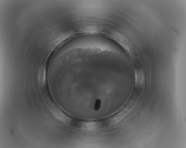 X0000111000301200906191556