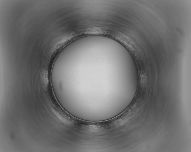 X0000111000302200906191556