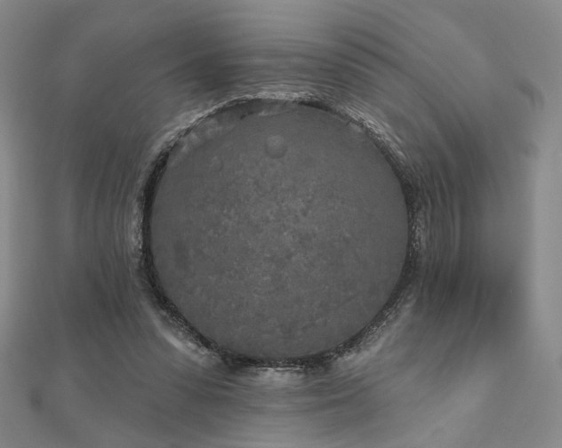 X0000111000303200906191556