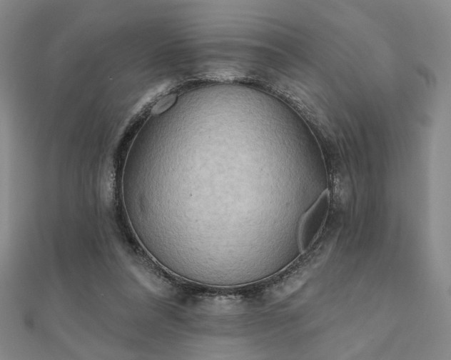 X0000111000304200906191556