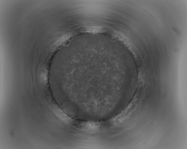 X0000111000305200906191556