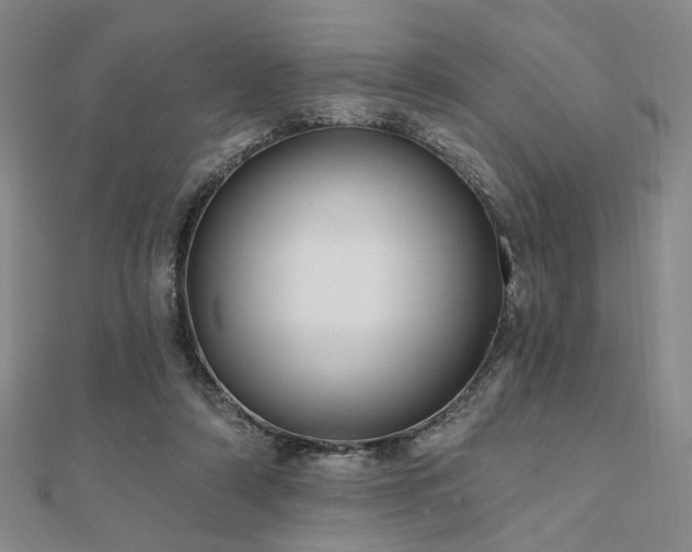 X0000111000306200906191556