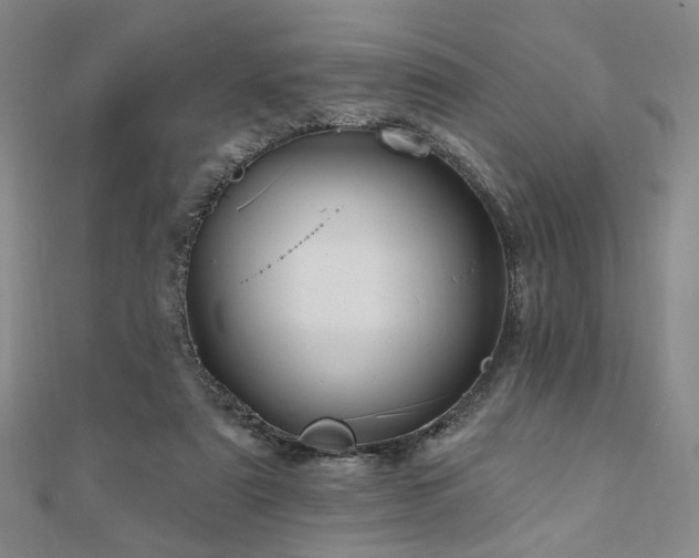 X0000111000307200906191556